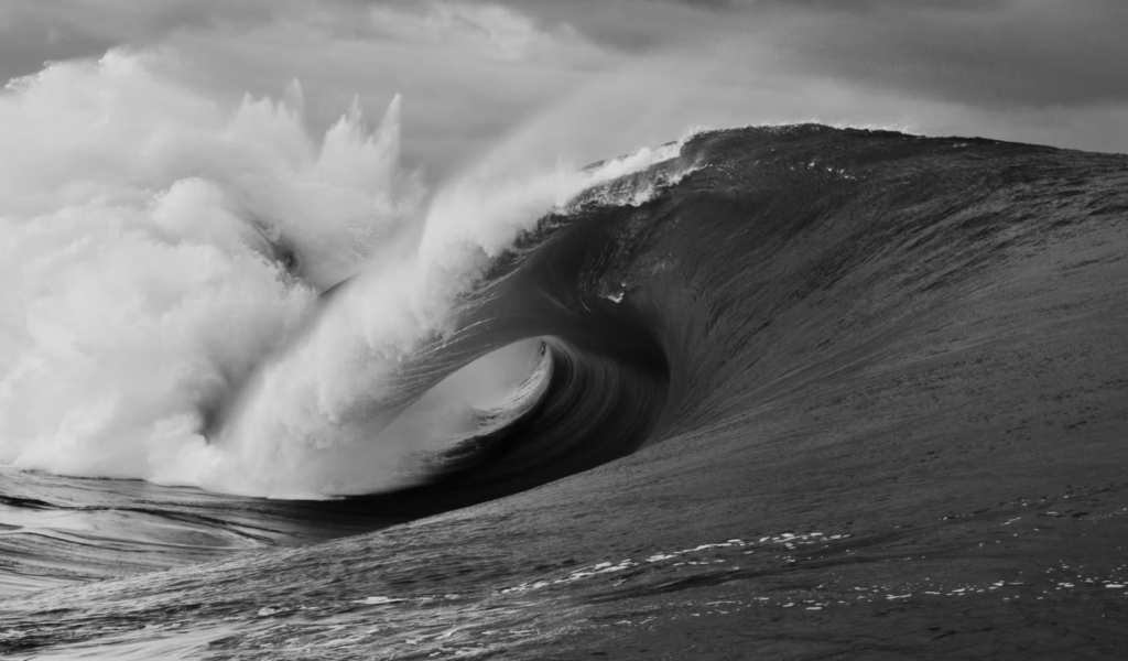 morgan-maassen