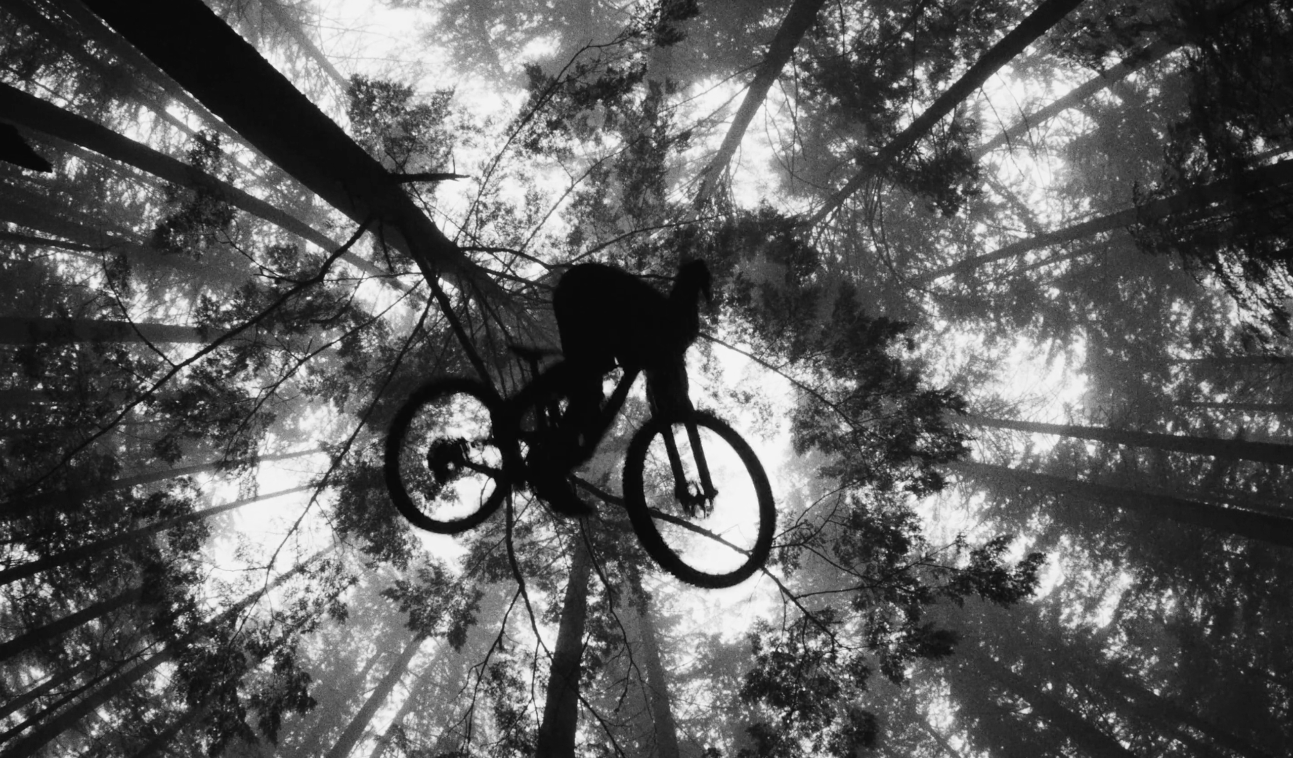 scott-secco-santa-cruz